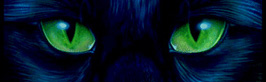 chat (10K)
